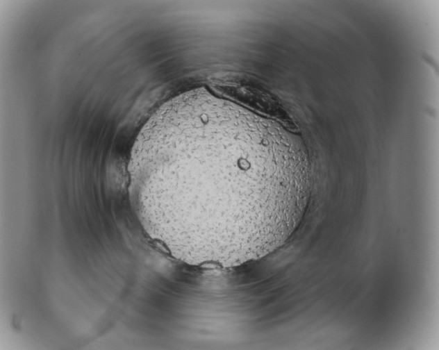 X0000102770240200809021036