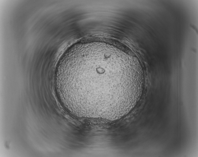 X0000102770241200809021035