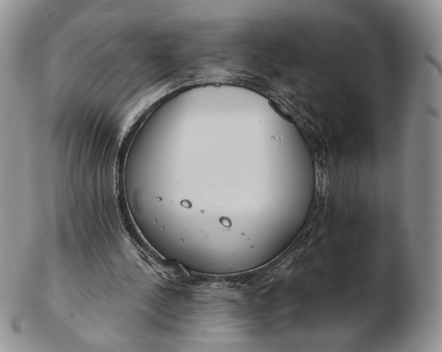 X0000102770244200809021036