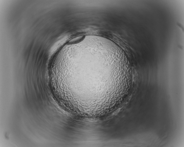 X0000102770245200809021036