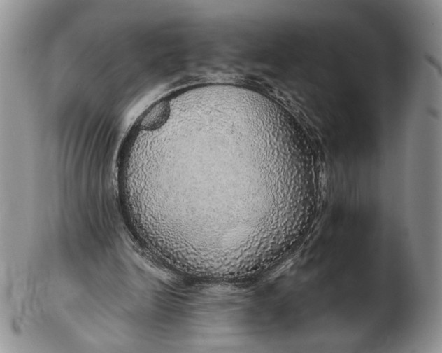 X0000102770246200809021036