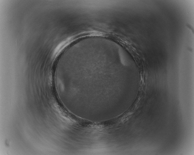 X0000102770247200809021036