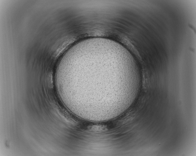 X0000102770251200809021036