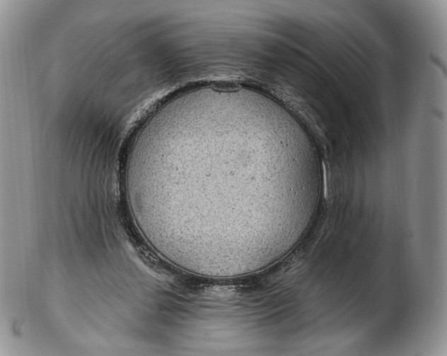 X0000102770252200809021036