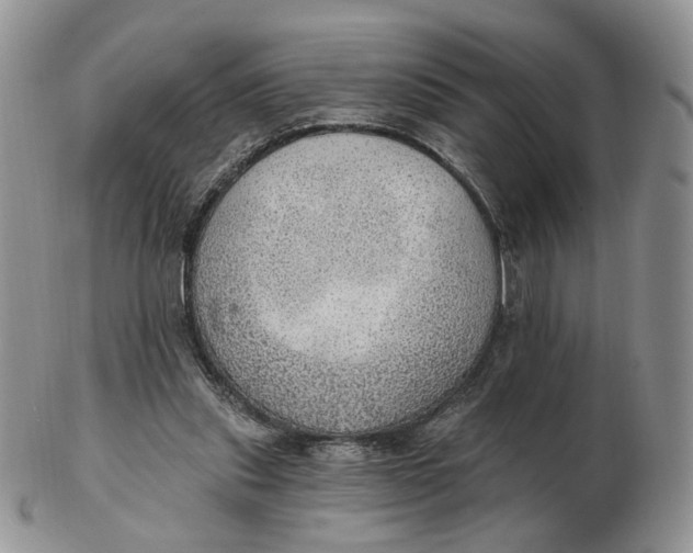 X0000102770253200809021036