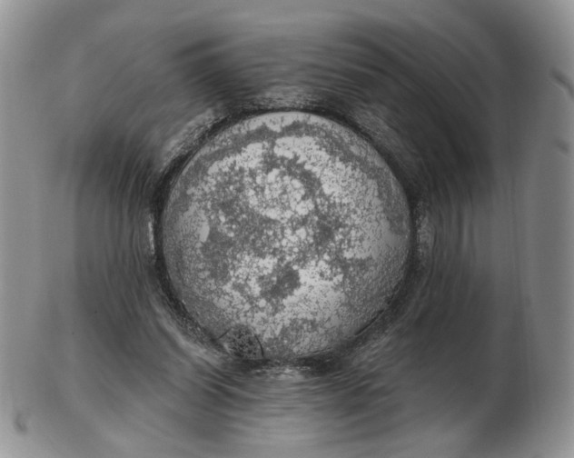 X0000102770254200809021036