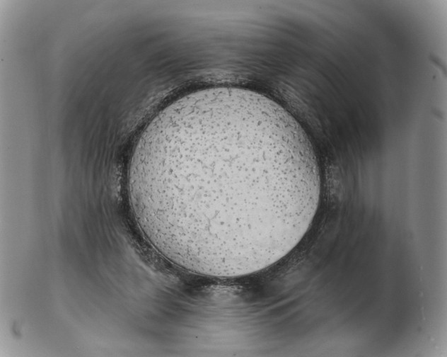 X0000102770255200809021036