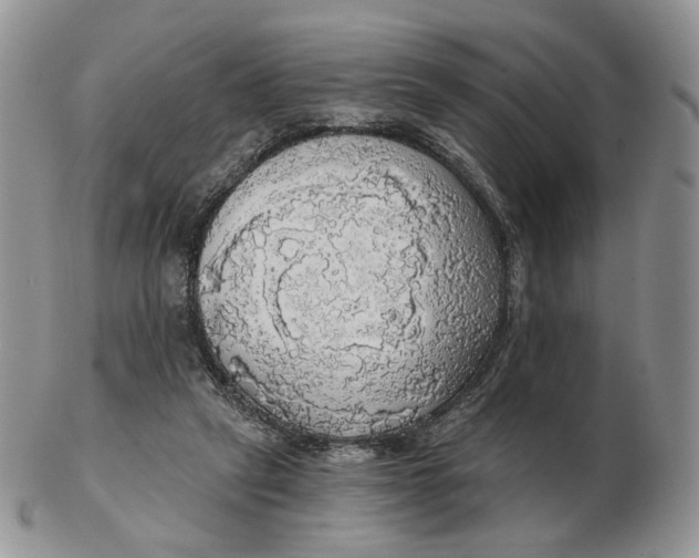 X0000102770257200809021036