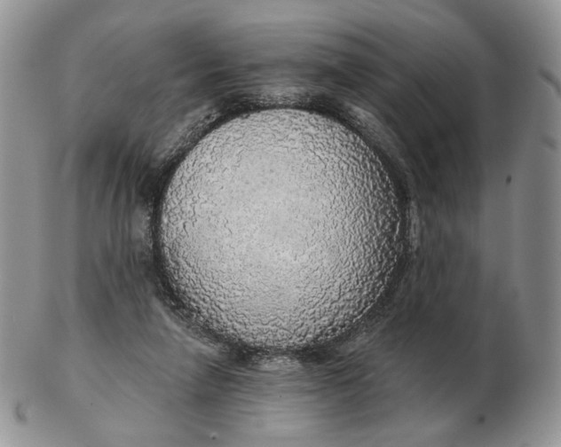 X0000102770258200809021036