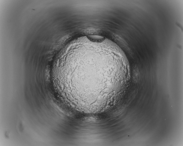 X0000102770259200809021036