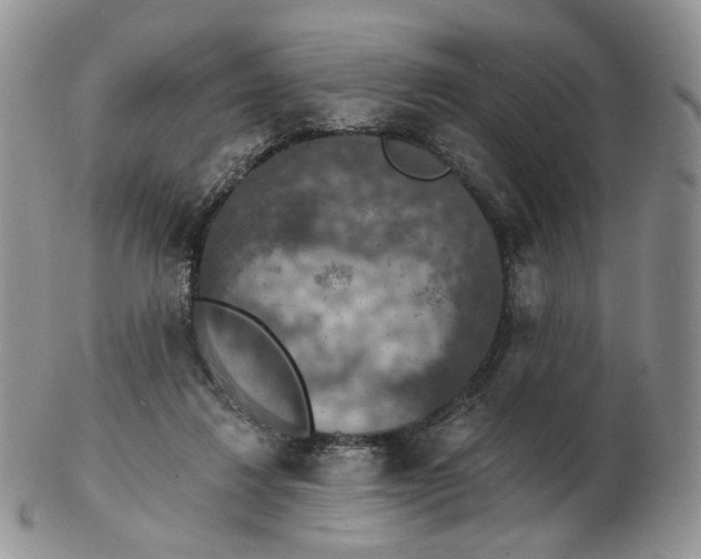 X0000102770260200809021036