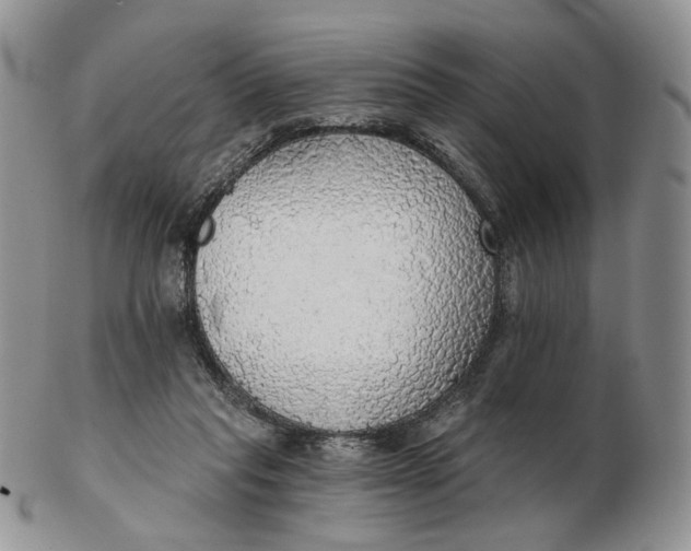 X0000102770261200809021036