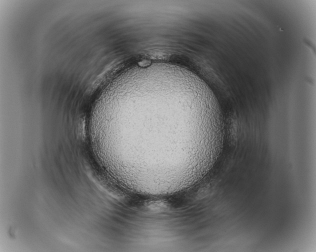 X0000102770262200809021036