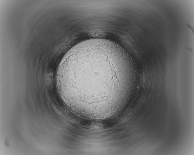 X0000102770263200809021036