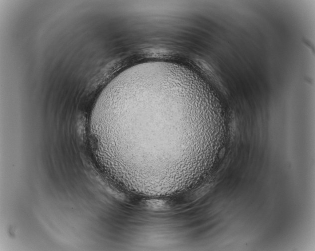 X0000102770265200809021036