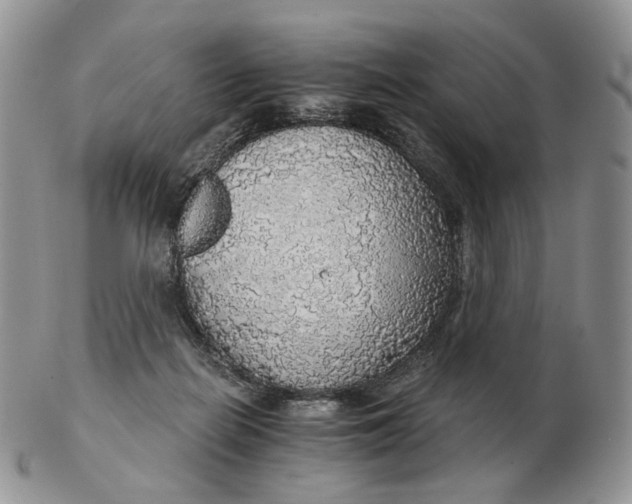 X0000102770266200809021036