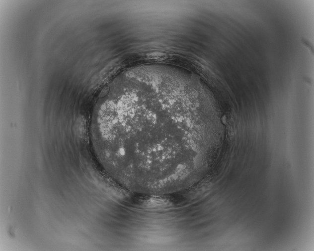 X0000102770270200809021036