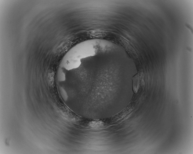 X0000102770271200809021036