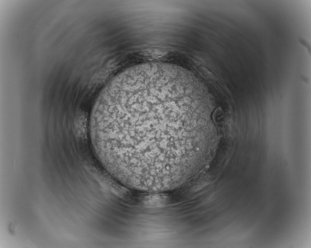 X0000102770274200809021036