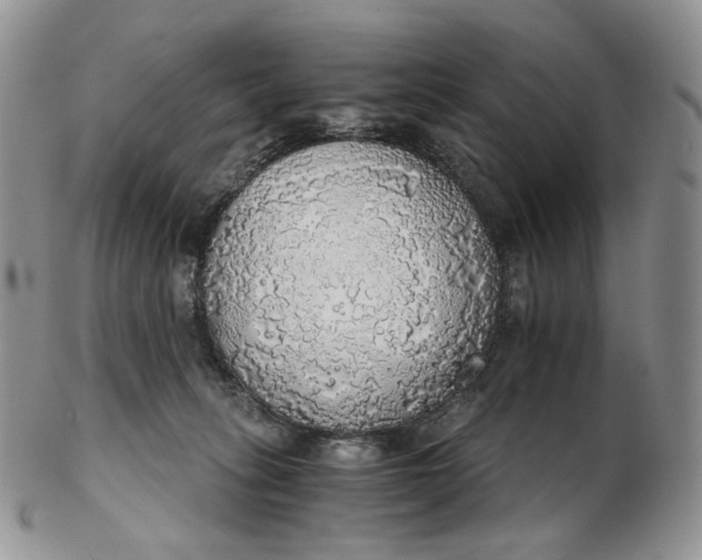 X0000102770275200809021036