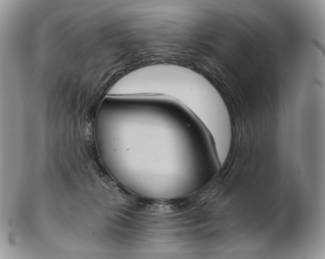 X0000102770276200809021036