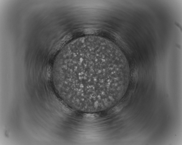 X0000102770277200809021036