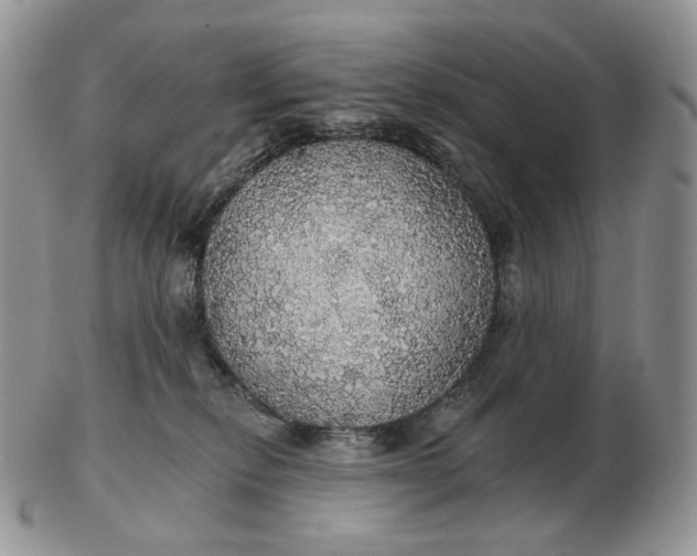 X0000102770278200809021036