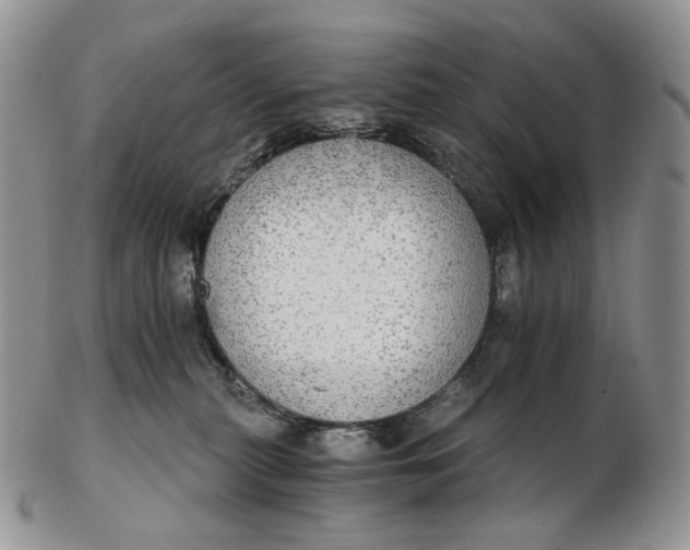 X0000102770279200809021036