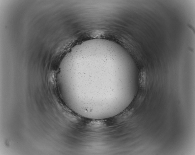 X0000102770280200809021036