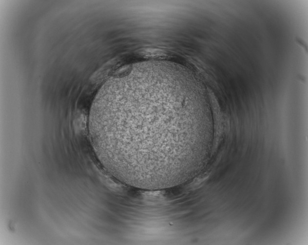 X0000102770281200809021036