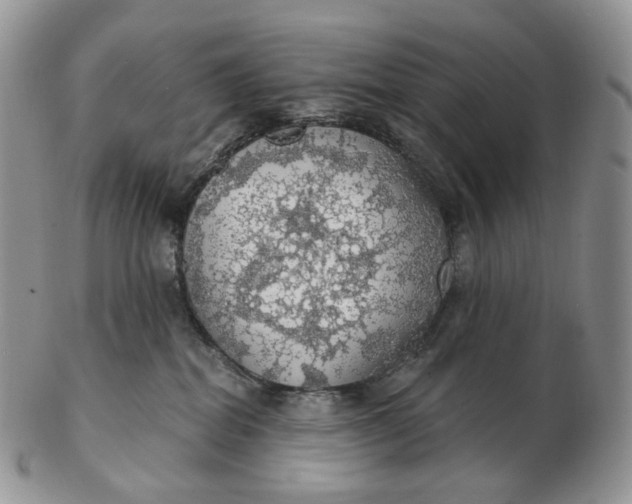 X0000102770282200809021036