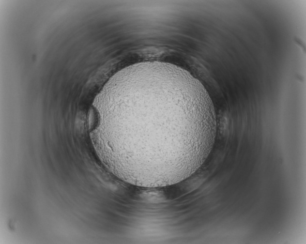 X0000102770283200809021036