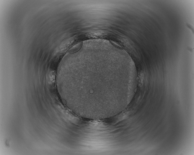 X0000102770284200809021036