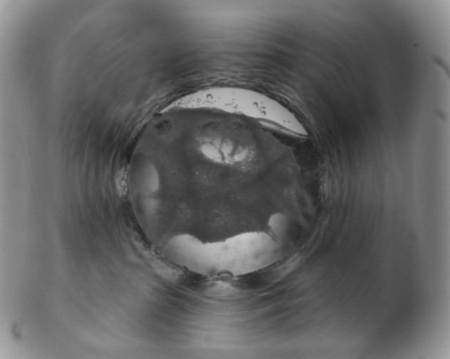 X0000102770285200809021036