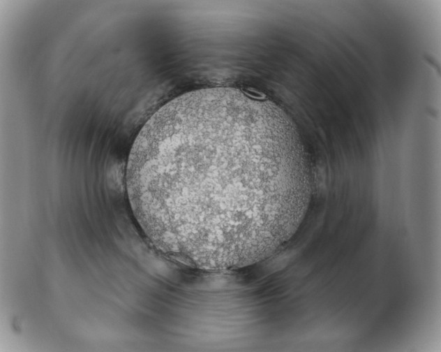 X0000102770286200809021036