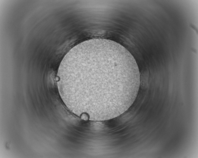 X0000102770287200809021036