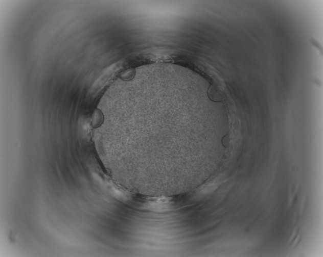 X0000102770288200809021036