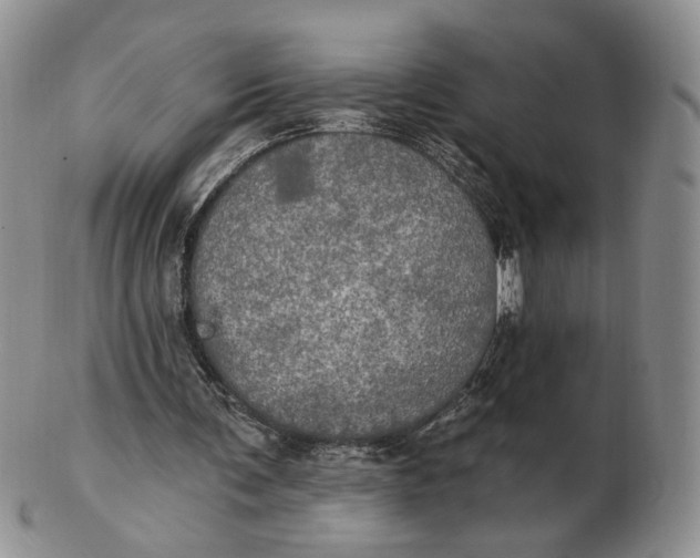 X0000102770291200809021035