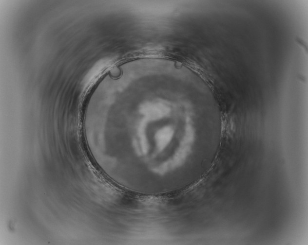 X0000102770293200809021035