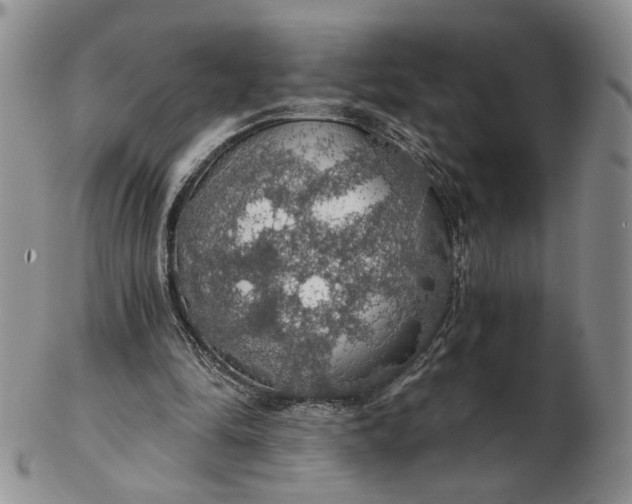 X0000102770294200809021035