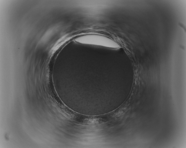 X0000102770295200809021035