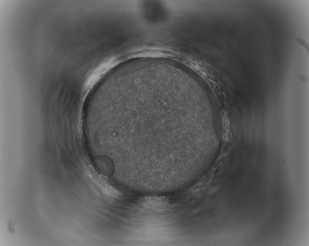 X0000102770296200809021035