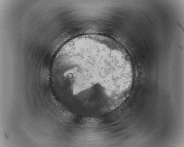 X0000102770297200809021035