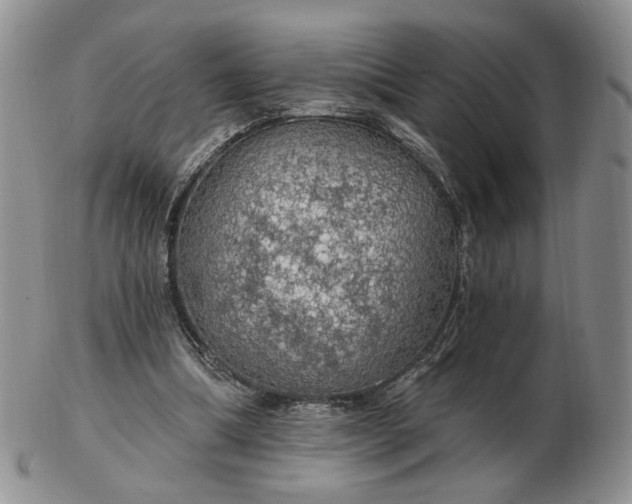 X0000102770298200809021035