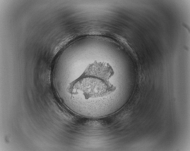 X0000102770299200809021035