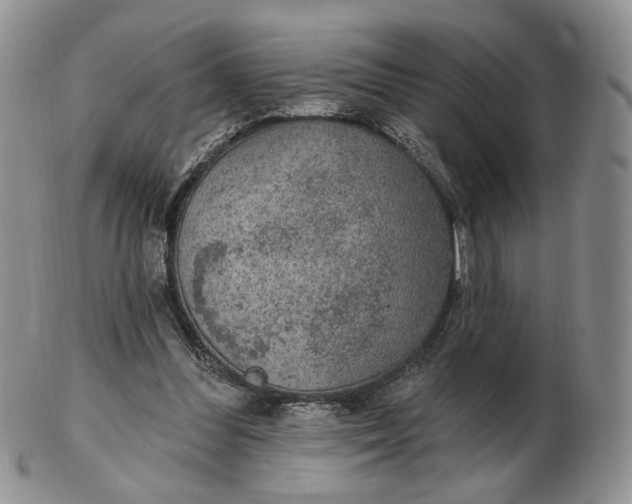 X0000102770300200809021035