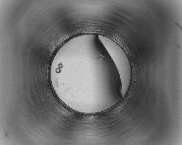 X0000102770301200809021035