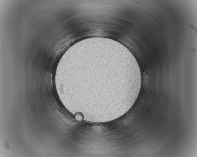 X0000102770302200809021035