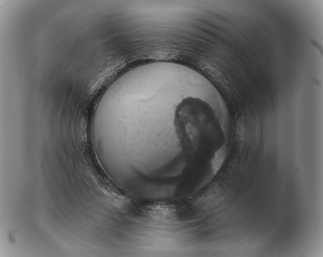 X0000102770303200809021035