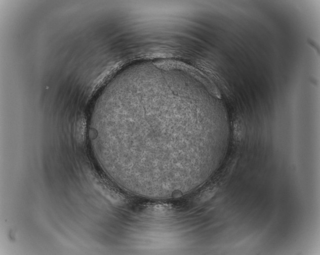 X0000102770304200809021035